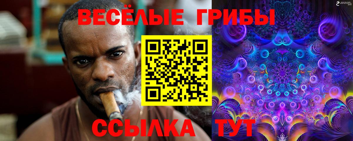 Курганинск  Псилоцибиновые грибы Psilocybine cubensis  Галлюциногенные грибы мухоморы  Вход с VPN 